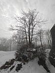 IMG_20260124_120713