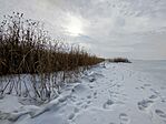 IMG_20260124_131630