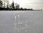 IMG_20260124_143425