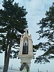 IMG_20260124_123500