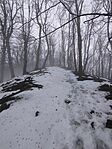 IMG_20260125_104156