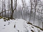 IMG_20260125_104436