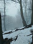 IMG_20260125_104151