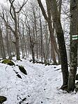 IMG_20260125_110220