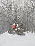 IMG_20260125_125506