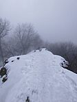 IMG_20260125_124737