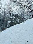 IMG_20260125_125022