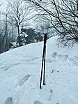 IMG_20260125_125027