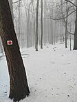 IMG_20260125_113247