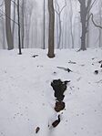 IMG_20260125_113706