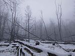 IMG_20260125_113039