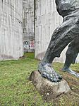 IMG_20260130_153345