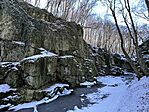 IMG_2951