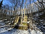 IMG_2954