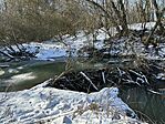 IMG_2919