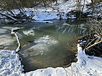 IMG_2910