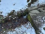 IMG_2959
