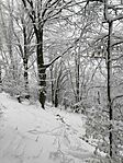 IMG_20260101_140232
