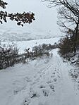 IMG_20251231_113833