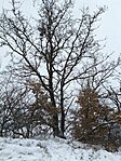 IMG_20251231_115311