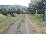 20250727_113651