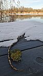 20260101_145548