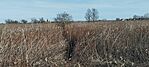 IMG_20260101_125813