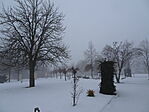 DSC00814