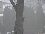 DSC00815