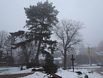DSC00816