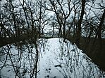 IMG_20260124_163429