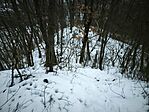 IMG_20260124_163434