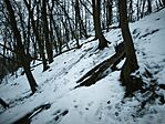 IMG_20260124_163717