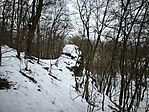 IMG_20260124_161239