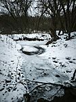 IMG_20260124_162213