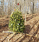 A két ünnep között sütött a nap (december 28.)