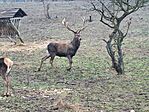 IMG_20260131_115016
