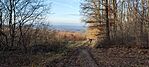 IMG_20251206_140404