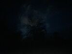 20260105_063204