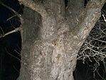20260105_063646