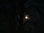 20260105_063807
