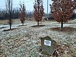 20260128_093046