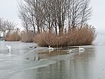 IMG_20260120_131540.jpg