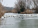 IMG_20260120_131453.jpg