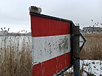 IMG_20260120_130914.jpg