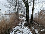 IMG_20260120_131103.jpg