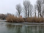 IMG_20260120_130434.jpg