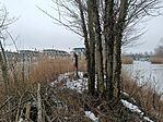 IMG_20260120_131109.jpg