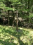 IMG_7731