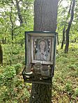 IMG_1150